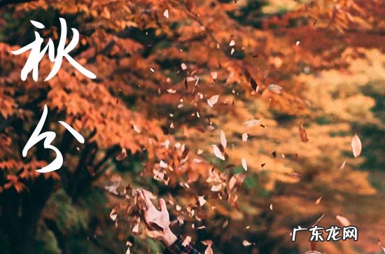 2023年秋分是哪天 2023年秋分是几月几号几点几分