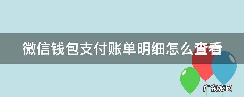 微信钱包支付账单明细怎么查看 微信钱包支付账单明细怎么查看不了