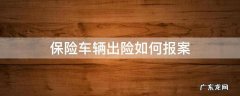 车险出险报案流程 保险车辆出险如何报案