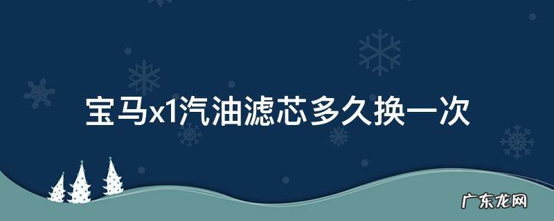 宝马1系汽油滤芯多久换一次 宝马x1汽油滤芯多久换一次