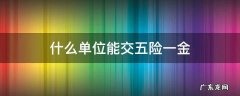 什么单位能交五险一金 什么单位可以交五险一金
