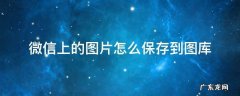 微信上的图片怎么保存到图库 如何微信照片存入图库