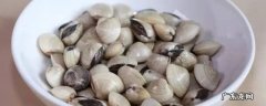 白贝怎么吐沙要多久 白贝怎么吐沙