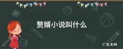 赘婿小说叫什么名字 赘婿小说叫什么