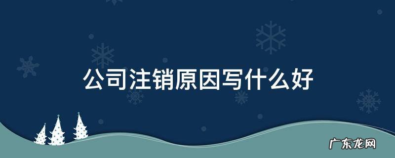 公司注销原因怎么写好 公司注销原因写什么好