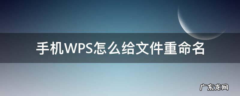 手机WPS怎么给文件重命名 wps手机文件如何重命名