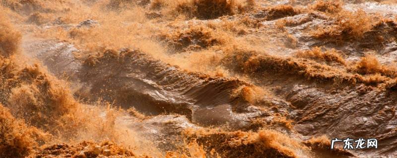 描写黄河的诗句有哪些? 描写黄河的诗句