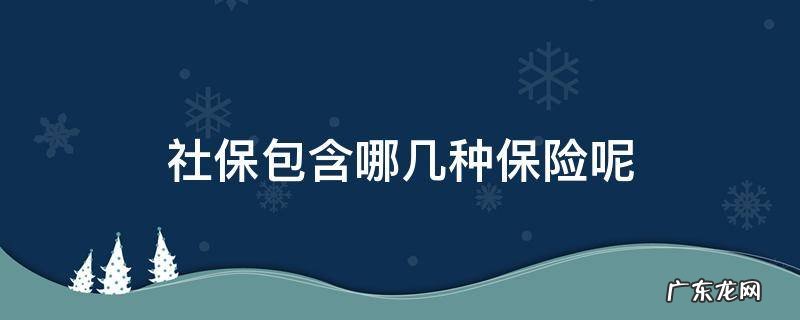 社保包含了哪五种保险 社保包含哪几种保险呢