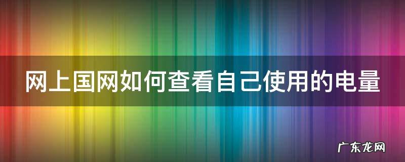 网上国网如何查看自己使用的电量情况 网上国网如何查看自己使用的电量