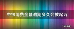 中银消费金融逾期多久会被起诉 中银消费金融逾期三个月接到电话说起诉是真的吗
