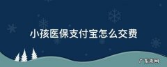 孩子医保支付宝怎么交费 小孩医保支付宝怎么交费