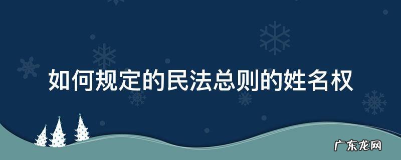 如何规定的民法总则的姓名权 关于姓名权的法条