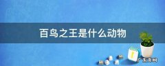 世界上的百鸟之王是谁 百鸟之王是什么动物