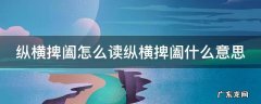 纵横捭阖怎么读纵横捭阖什么意思