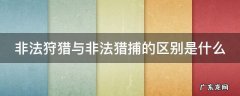 非法狩猎与非法猎捕的区别是什么意思 非法狩猎与非法猎捕的区别是什么