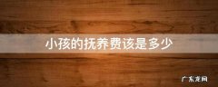 小孩的抚养费该是多少 小孩抚养费一般是多少