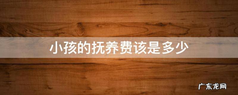 小孩的抚养费该是多少 小孩抚养费一般是多少