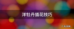 洋牡丹插花技巧全红色 洋牡丹插花技巧