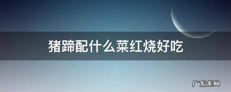 猪蹄红烧什么配菜好吃? 猪蹄配什么菜红烧好吃