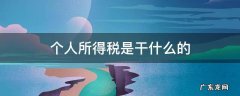 个人所得税是干什么的 个人所得税是什么呀