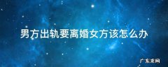 男方婚内出轨男方提出离婚女方应该怎么办 男方出轨要离婚女方该怎么办