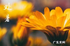处暑为什么在立秋后面 处暑和立秋的区别