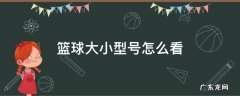 篮球大小型号怎么看 篮球型号大小看哪里