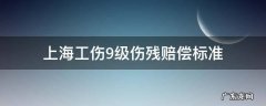 上海工伤9级伤残赔偿标准2019 上海工伤9级伤残赔偿标准