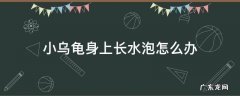 小乌龟身上长水泡怎么办 乌龟身上长水泡是怎么回事