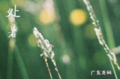 今日处暑是什么时候几月几号哪一天2023年