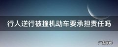 行人逆行被撞机动车要承担责任吗 行人逆行被撞机动车要承担责任吗
