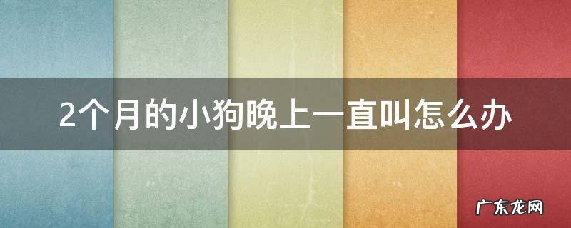 2个月的小狗晚上一直叫怎么办 2个月狗狗晚上一直叫怎么办