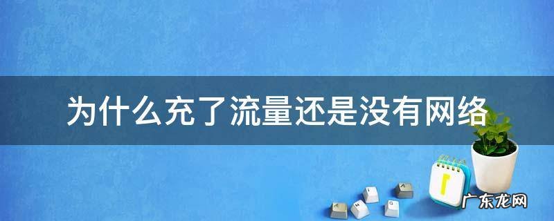 为什么充了流量还是没有网络 为什么充不到流量