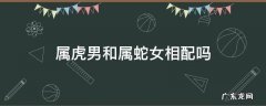 属虎男和属蛇女相配吗?婚姻怎么样 属虎男和属蛇女相配吗