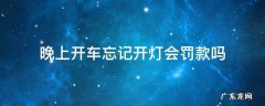 晚上开车忘了开灯怎么处罚 晚上开车忘记开灯会罚款吗