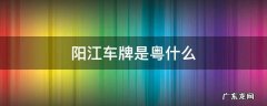 阳江市车牌 阳江车牌是粤什么
