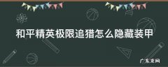 和平精英极限追猎怎么隐藏装甲等级 和平精英极限追猎怎么隐藏装甲