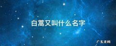 白蒿的别名叫什么 白蒿又叫什么名字