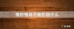 惟妙惟肖不能形容什么 惟妙惟肖可以形容
