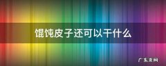 馄饨皮子还可以干什么 馄饨皮能干啥