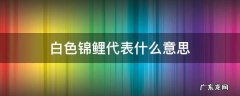 白色锦鲤代表什么意思 锦鲤红白寓意