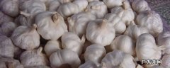 新蒜怎么保存不烂不发芽 大蒜怎么保存不发芽不烂