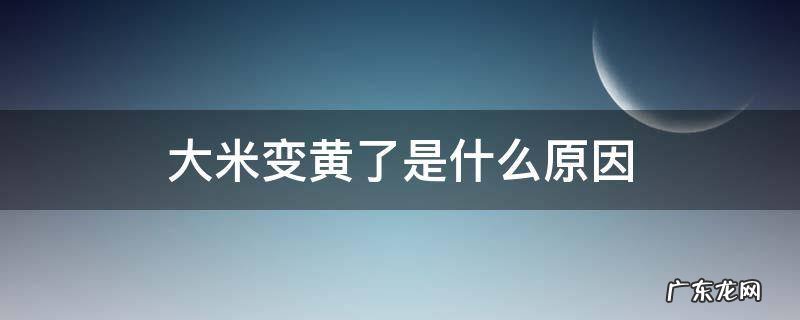大米变黄的原因 大米变黄了是什么原因