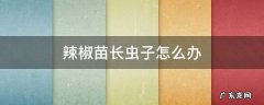 辣椒苗长虫子怎么办 辣椒苗上生虫咋办?