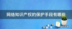 网络知识产权的保护手段有哪些方面 网络知识产权的保护手段有哪些