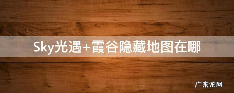 Sky光遇 sky光遇测试服