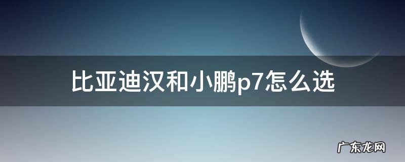 比亚迪汉和小鹏p7怎么选 小鹏p7对比亚迪汉