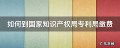 如何到国家知识产权局专利局缴费呢 如何到国家知识产权局专利局缴费