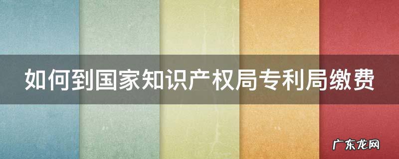 如何到国家知识产权局专利局缴费呢 如何到国家知识产权局专利局缴费