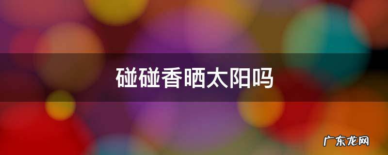 碰碰香需要太阳吗 碰碰香晒太阳吗
